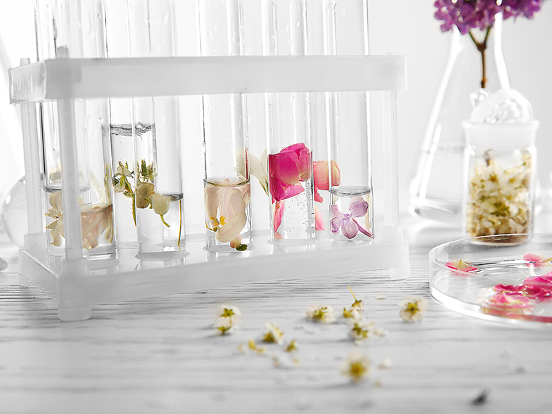PARFUM ET EAU DE COLOGNE D'ÉTÉ
